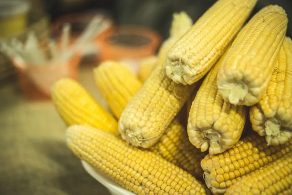 Curiosidade Comida Típica São João