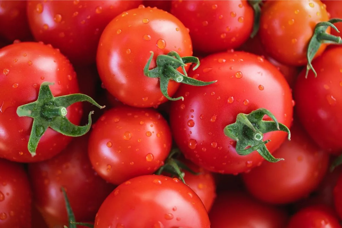 Tomate é uma Fruta