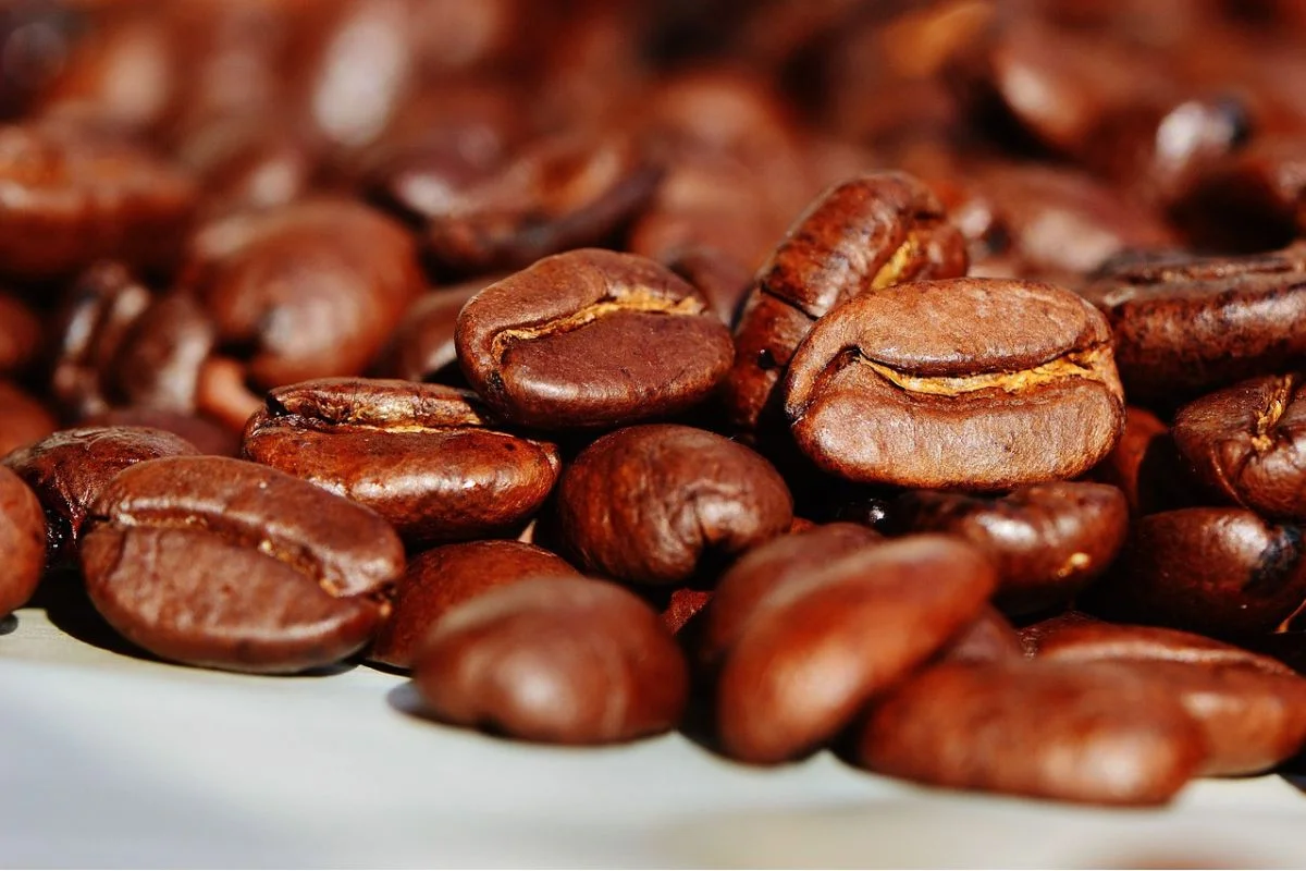 Café Fake
