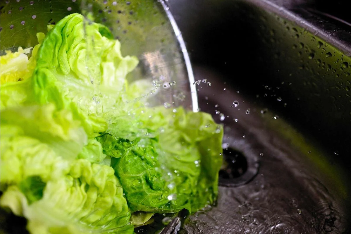 Segurança Alimentar na Cozinha